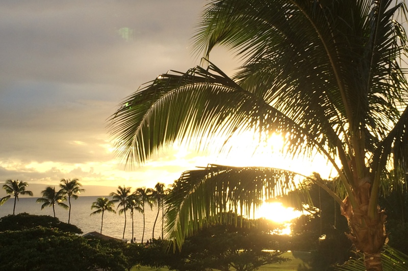Happy Feet in Hawaii